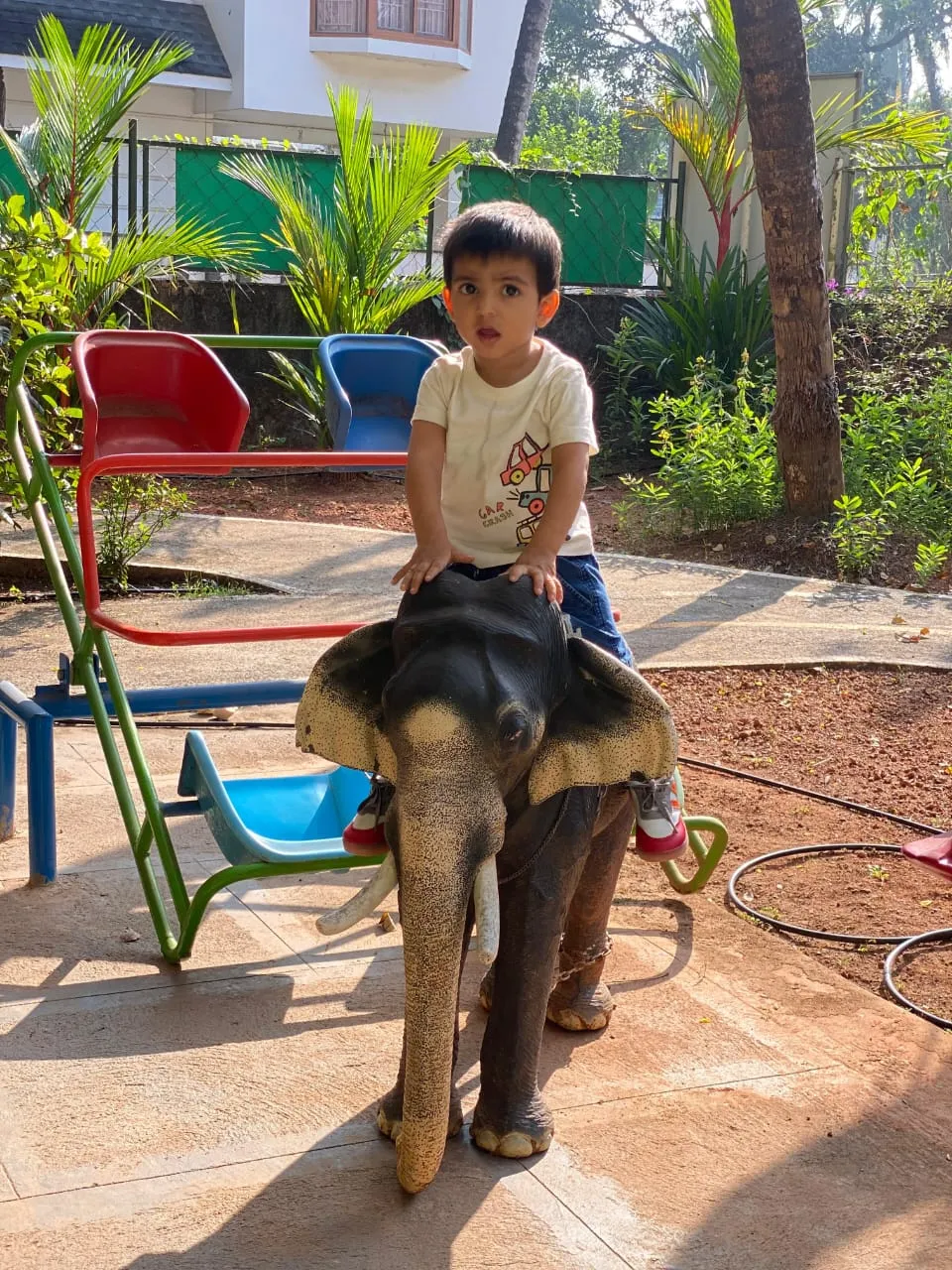 WhatsApp Image 2025-01-06 at 18.49.35.webp